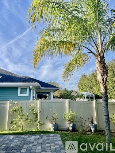 A palm tree stands in a yard with a house in the background.