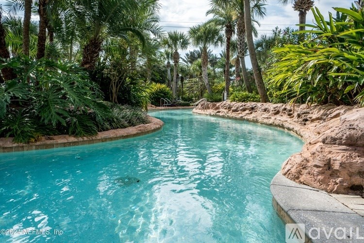 A pool surrounded by greenery and rocks.