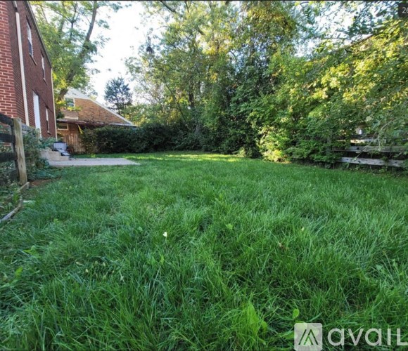 A backyard with a wooden fence and a green lawn.