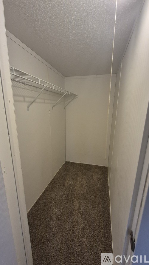 A small, empty closet with a carpeted floor.