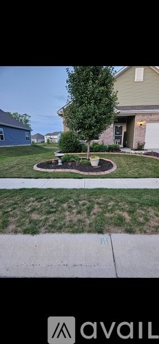 A tree in a circular garden bed in front of a house.