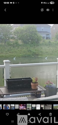 A balcony with a table and potted plants.