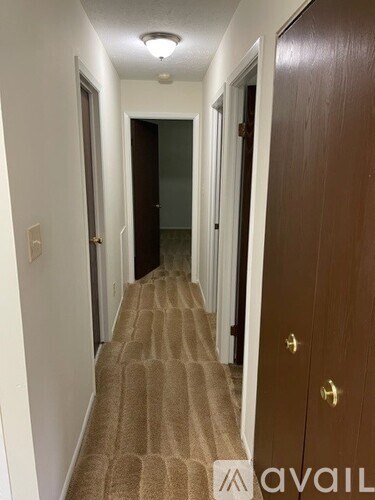 A hallway with a carpeted floor and a brown door on the right.