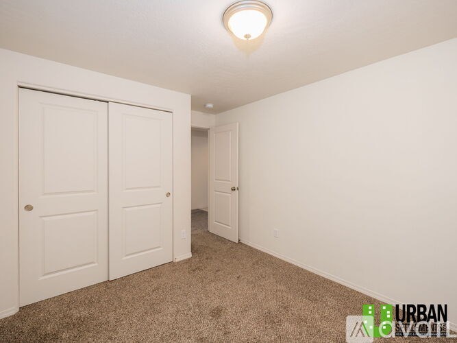 A room with two doors and a carpeted floor.