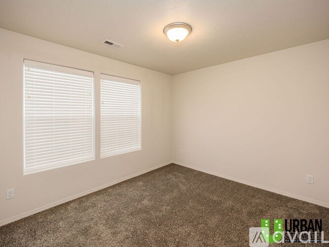 A room with carpeted floor, two windows with blinds, and a ceiling light.