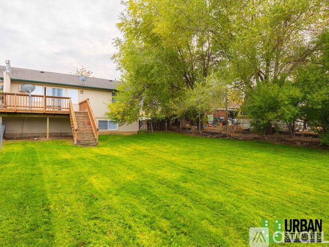 A backyard with a green lawn and a tree.