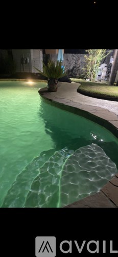 A pool with a light on the side and a plant in the background.