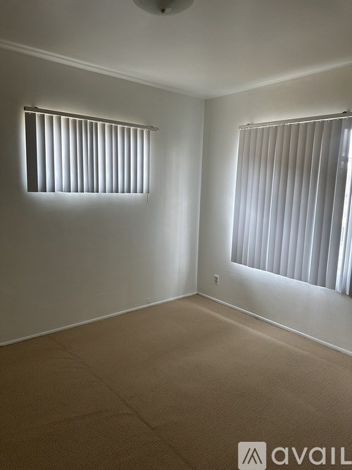 A room with two windows and carpeted floor.