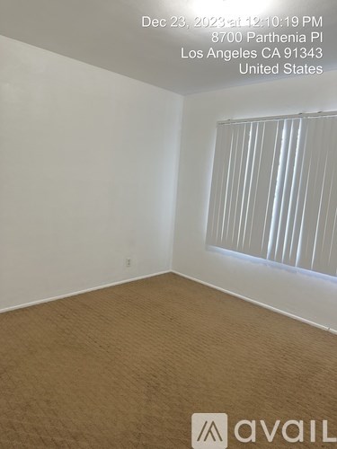 A room with a window covered by blinds and a carpeted floor.