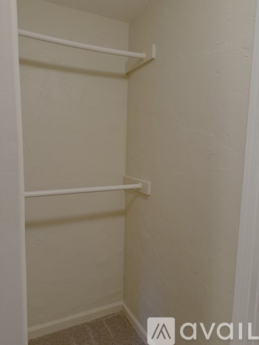 A white closet with a carpeted floor and a white door.