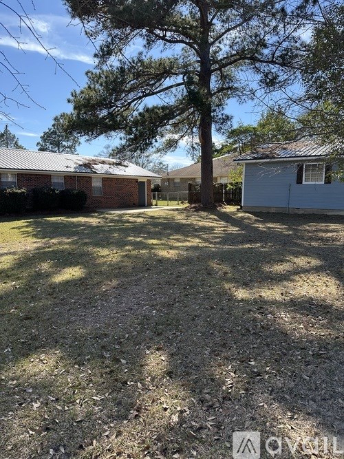 A backyard with a tree and two houses.