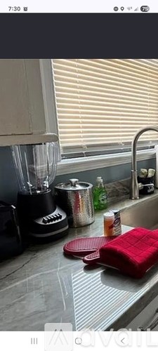 A kitchen counter with a blender, a red cloth, and a bottle of oil.