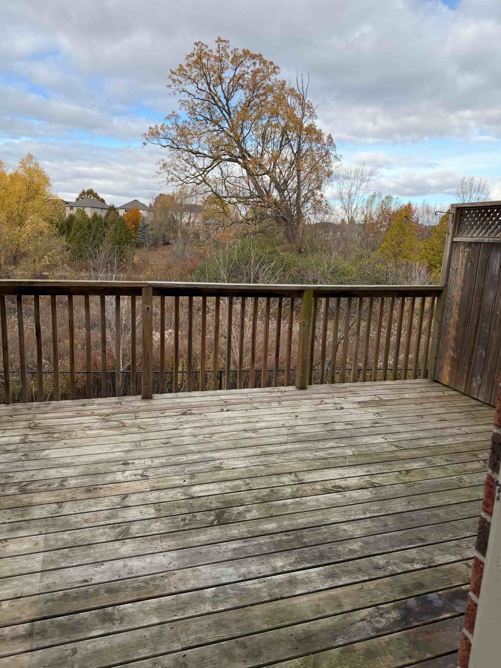 67-1010 Fanshawe Park Rd. East 3 Beds House for Rent - Photo Gallery 8