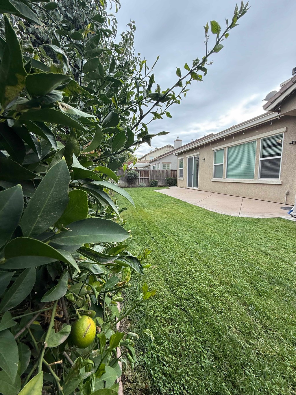 235 Fay Court 3 Beds House for Rent - Photo Gallery 33