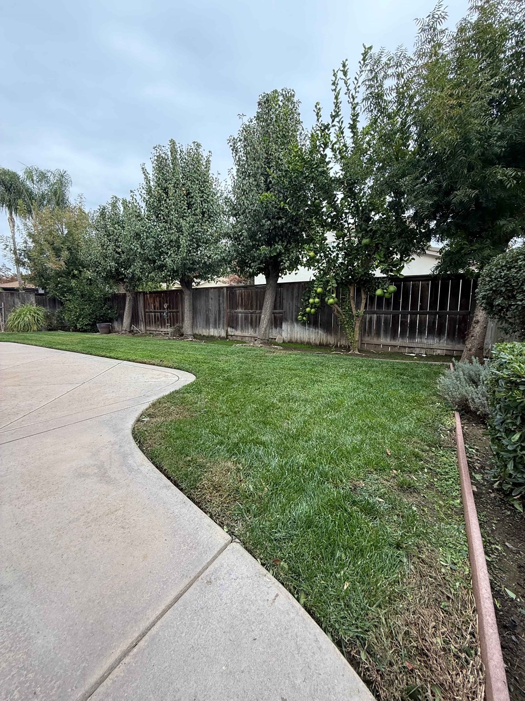 235 Fay Court 3 Beds House for Rent - Photo Gallery 51