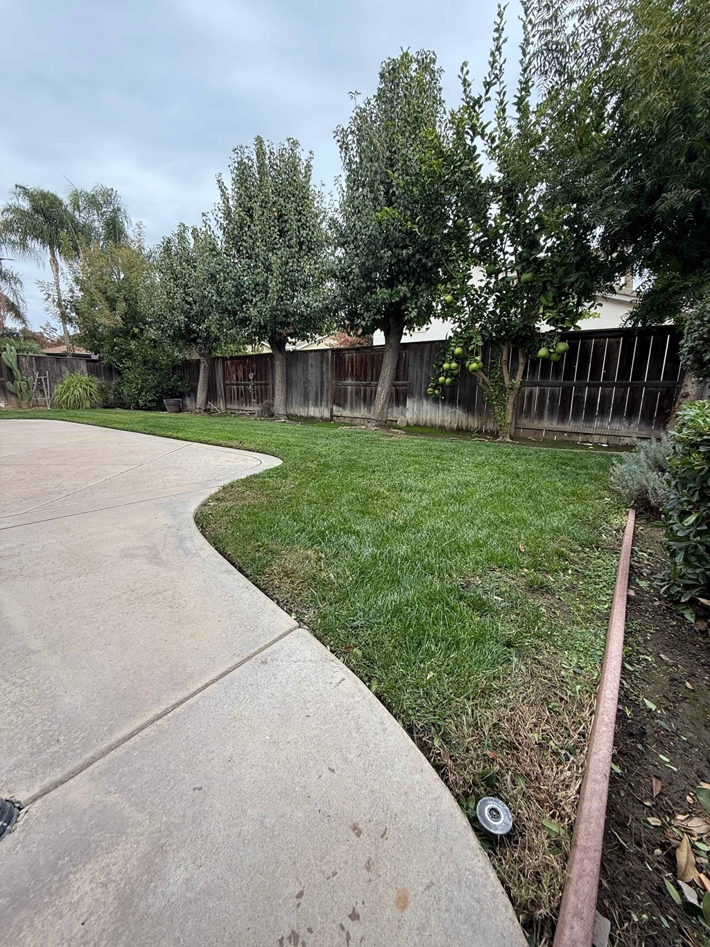 235 Fay Court 3 Beds House for Rent - Photo Gallery 50