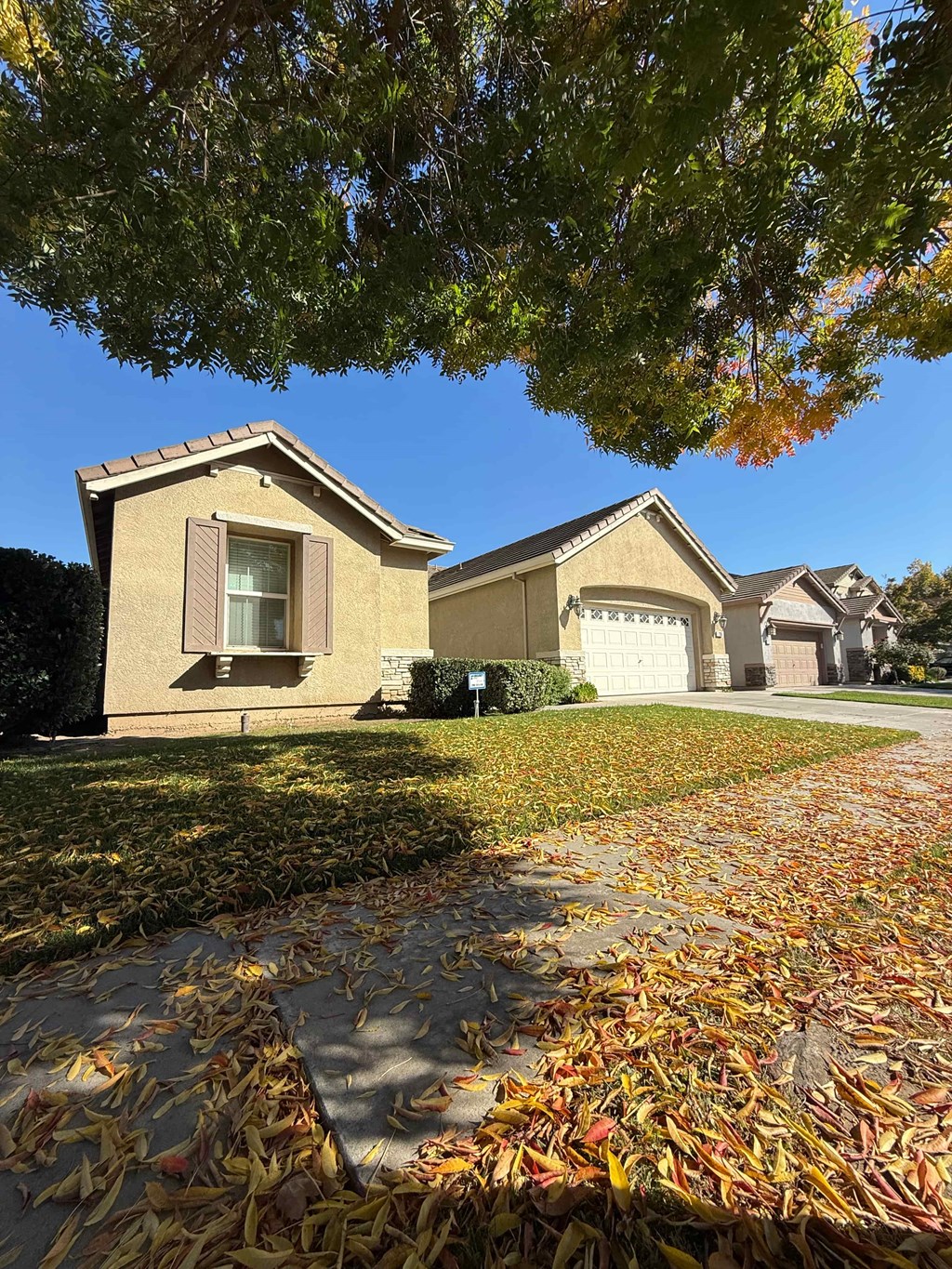 235 Fay Court 3 Beds House for Rent - Photo Gallery 49