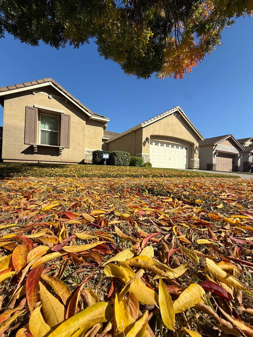 235 Fay Court 3 Beds House for Rent - Photo Gallery 1