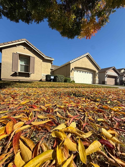 235 Fay Court 3 Beds Apartment for Rent