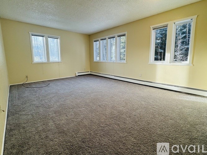 A room with carpeted floor and three windows.