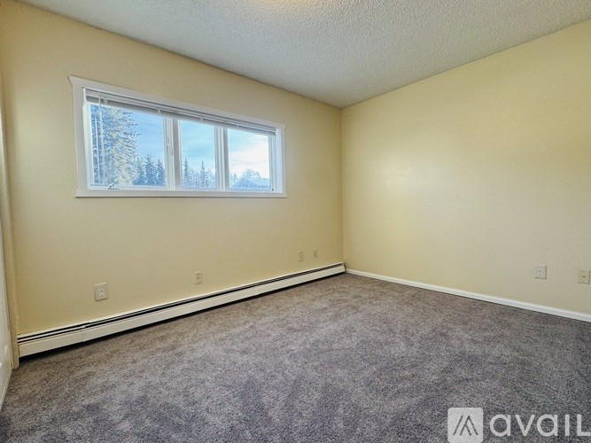 A room with a carpeted floor and a window showing trees outside.