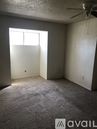 A room with a carpeted floor and a ceiling fan.