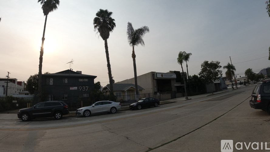 A street view with cars parked on the side and palm trees lining the road.
