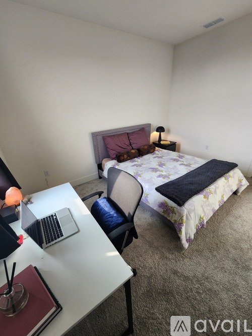 A carpeted room with two doors and a broom in it.