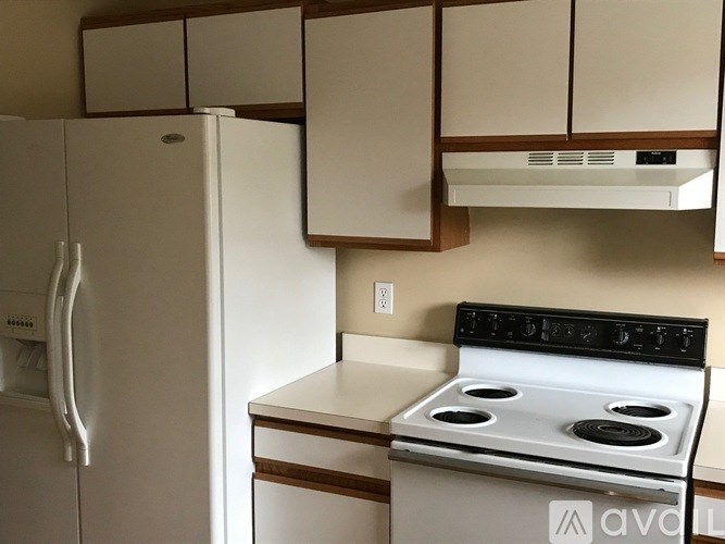 A white refrigerator and stove in a kitchen.