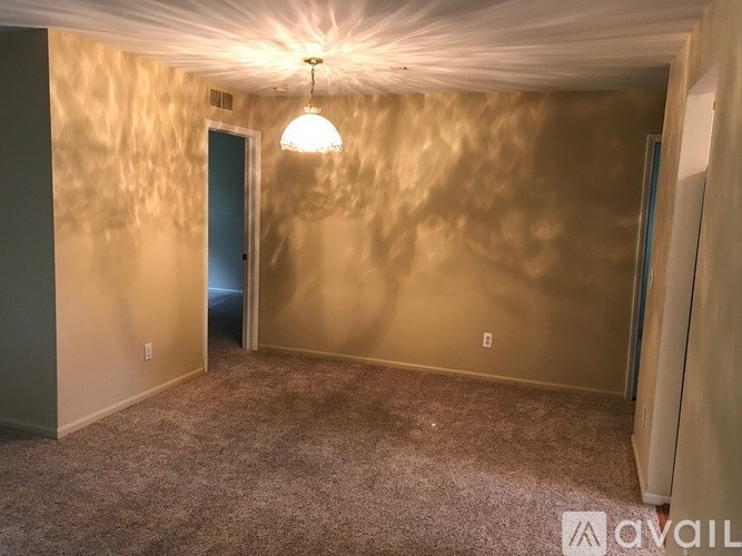 A room with a carpeted floor and a light hanging from the ceiling.