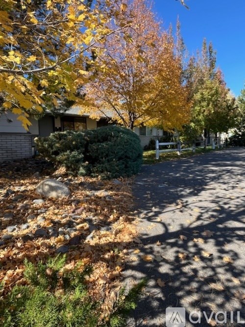 A tree with yellow leaves is in front of a house.