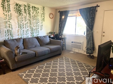 A cat is sitting on a grey couch in a living room.