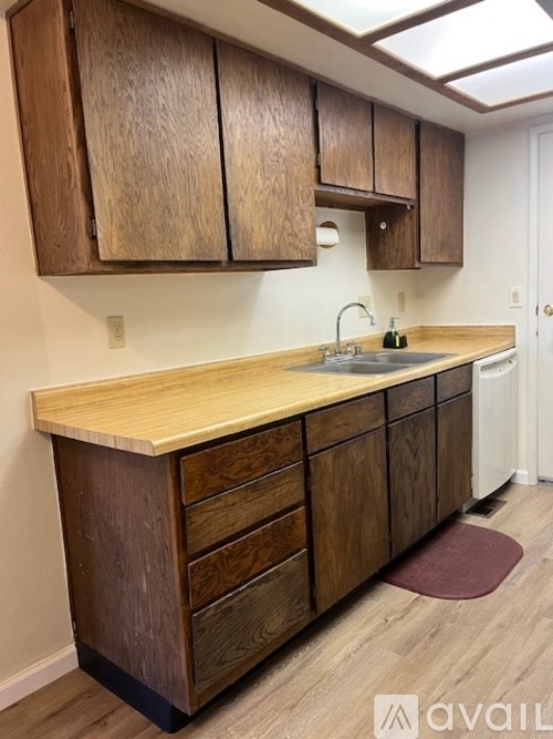 A kitchen with wooden cabinets and a countertop.