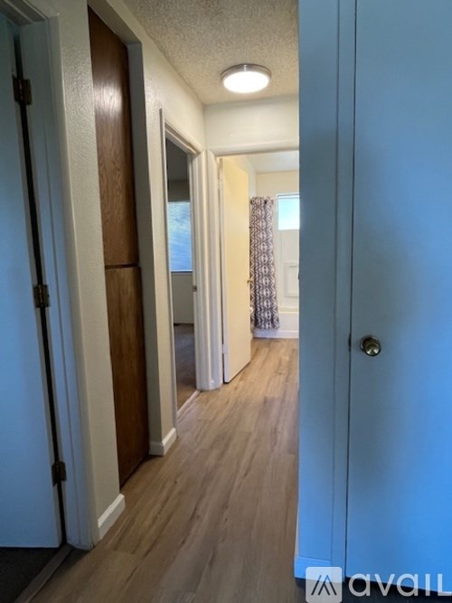 A hallway with a blue door and a white door on the left.