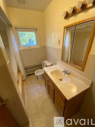 A bathroom with a sink, mirror, and toilet.