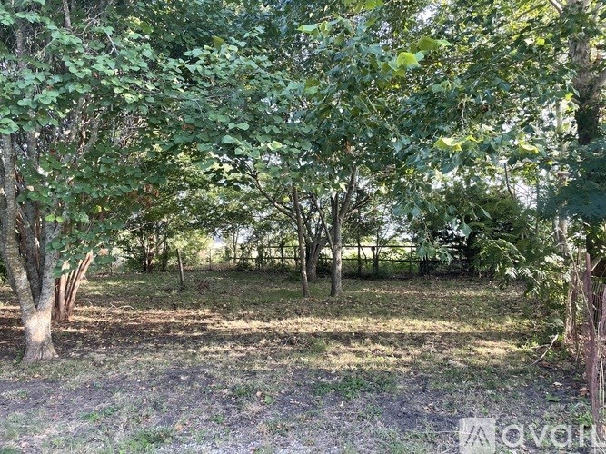 A wooded area with trees and grass.