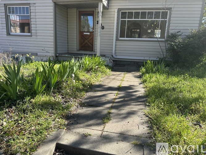 A white house with a brown door and a small garden in front.