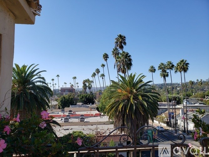 Palm trees and a clear blue sky are visible in the image.