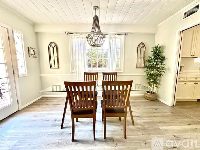 Two chairs are placed in a room with a chandelier and a potted plant.