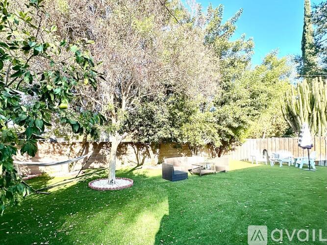 A backyard with a tree, a lawn, and a fence.