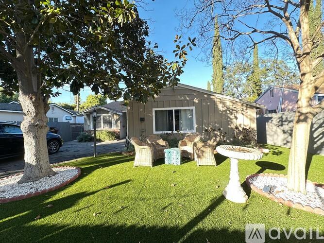 A backyard with a tree, a bench, and a bird bath.