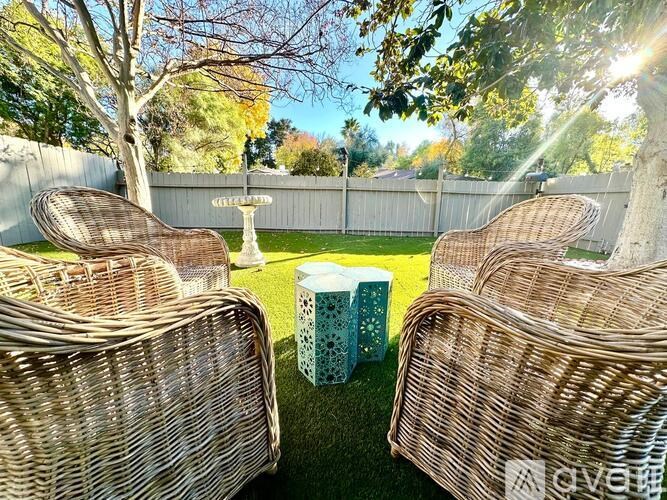 A sunny backyard with a wicker chair and a table.