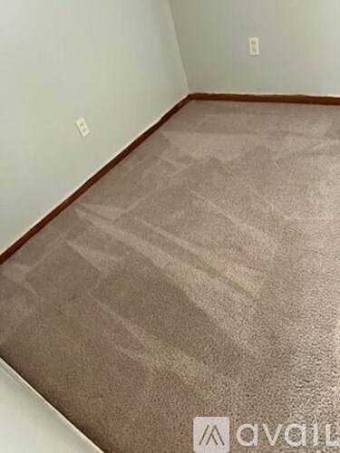 A room with a carpeted floor and a wall socket.