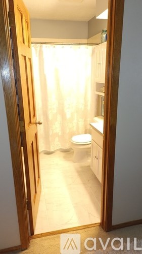 A bathroom with a toilet and a shower curtain.