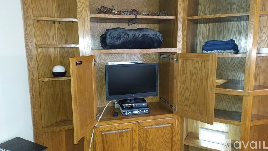 A wooden entertainment center with a TV, DVD player, and a computer mouse.