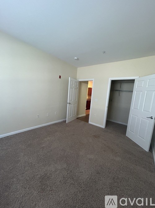 A room with carpeted floor and two doors, one of which is open.