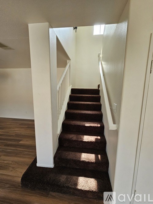 A staircase with a carpeted runner and white risers.