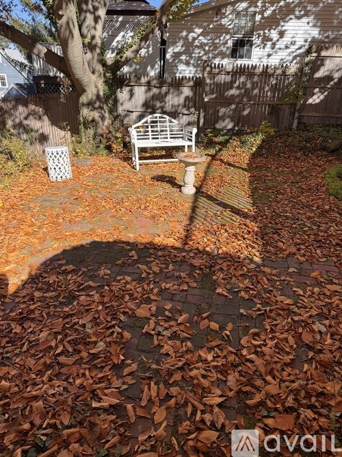 A bench sits in a leaf-covered yard.