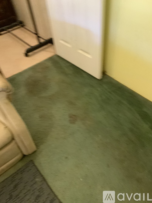 A green carpet with a white door in the background.