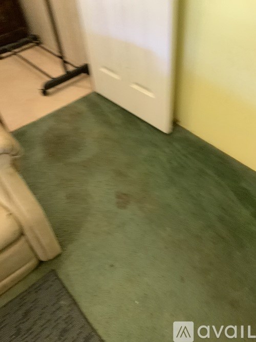 A green carpet with a white door in the background.